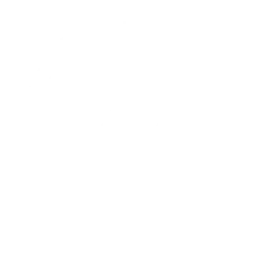 Logo João Pedro Nutricionista